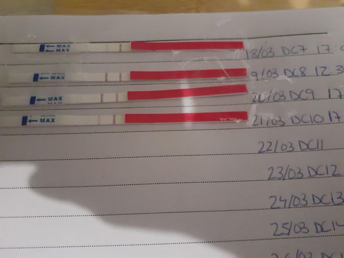 to positivo a día 8 de ciclo? 2