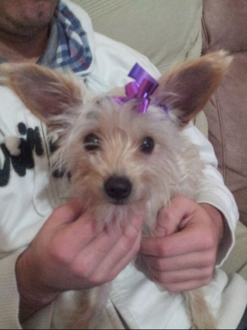 Nuestras mascotas!! - 4