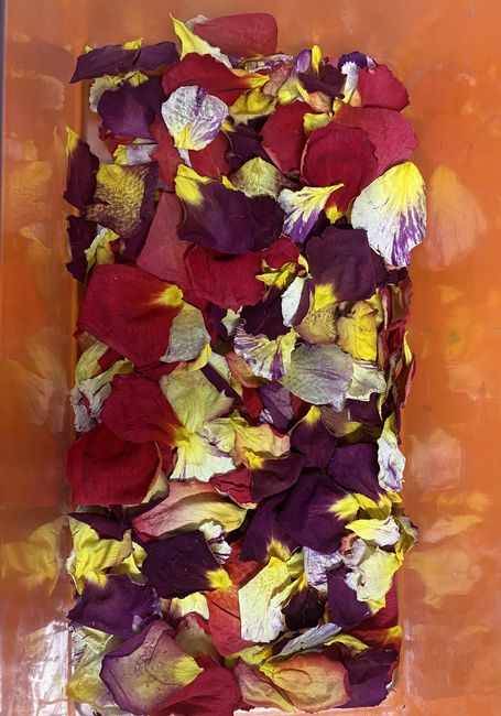 Pétalos naturales 1