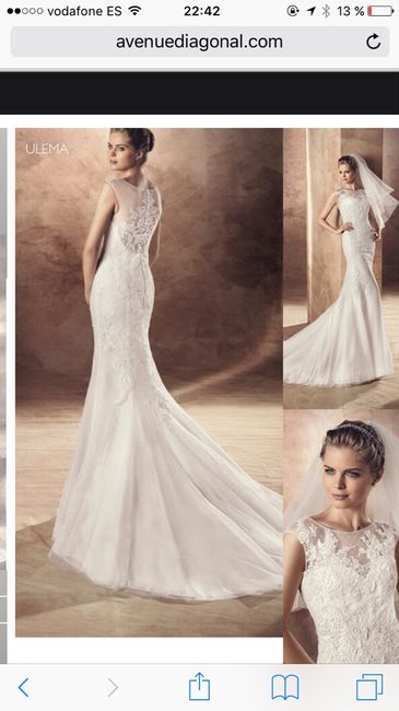Opinion de mi vestido - 1