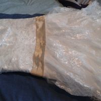 LA SUPUESTA COPIA