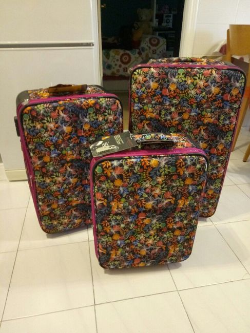 Ya tenemos maletas para el viaje - 1