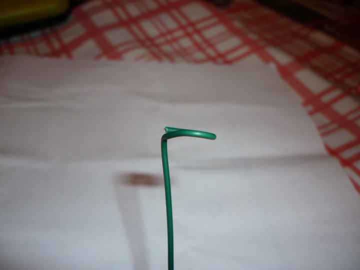 tallo flor