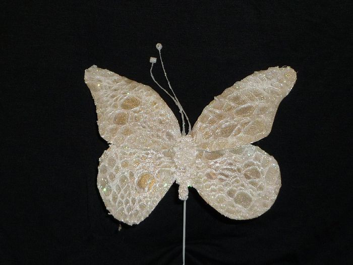 MARIPOSA