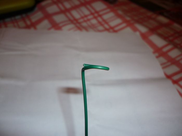 tallo flor