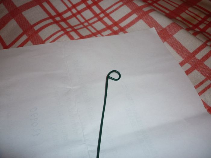 tallo flor