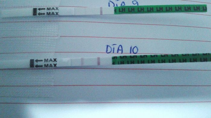 Buscadoras después de uno o varios abortos  - 1