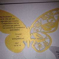 mariposa copas