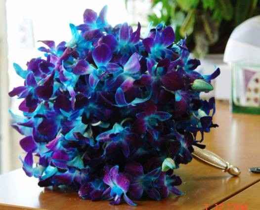 Ramo de Orquídeas Azules