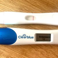 Buscadoras de Octubre 2020. ☘️ 🥑 💕 - 1