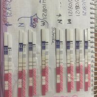 🌅 Buscadoras de Septiembre 2021🌅 - 1