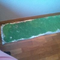Arroz verde