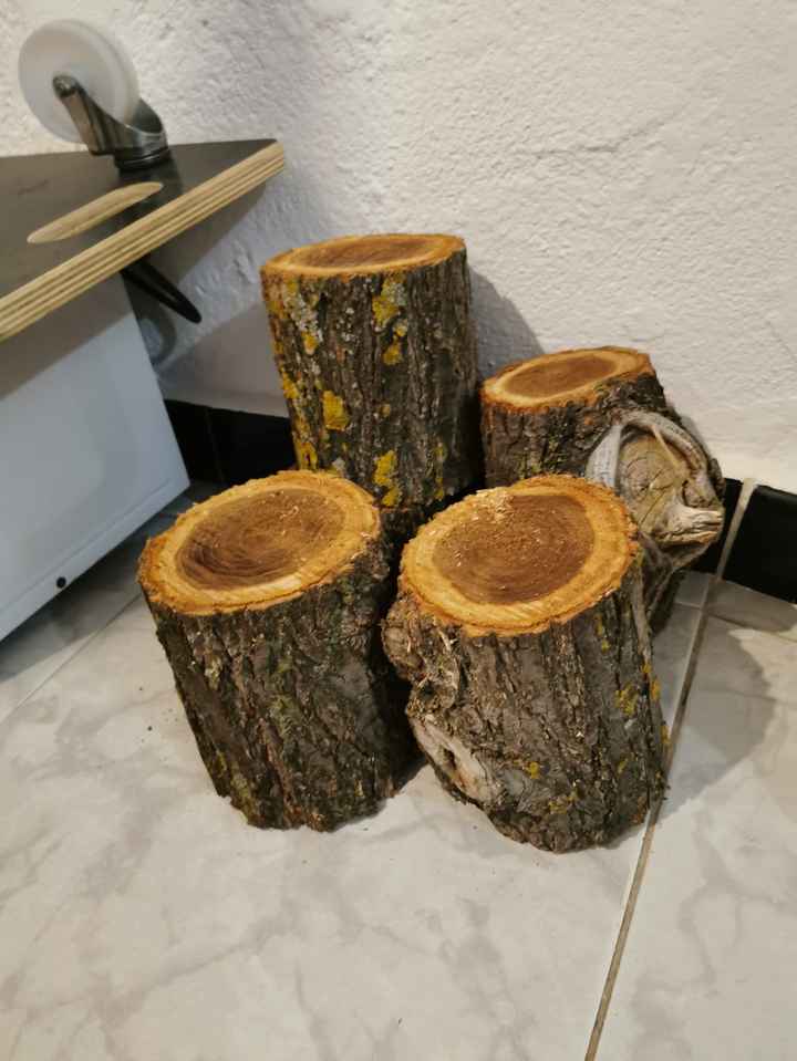Materia prima - 1