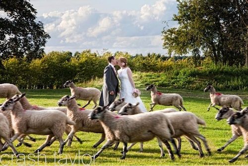 BODA EN EL CAMPO