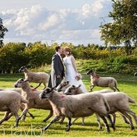 BODA EN EL CAMPO