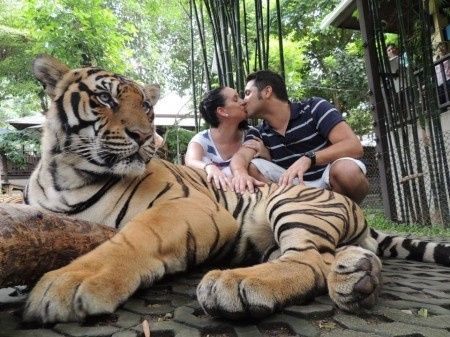 Tiger Kingdom