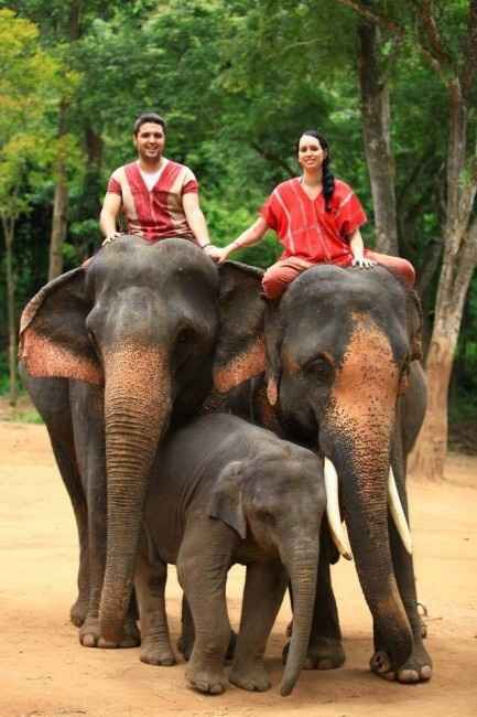 Patara Elephant Farm