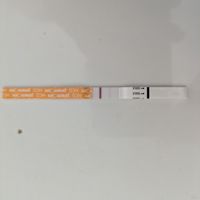 Buscadoras julio 2024 - 1