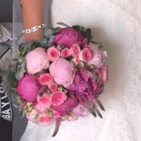 P E O N Í A S 🌷 - 1