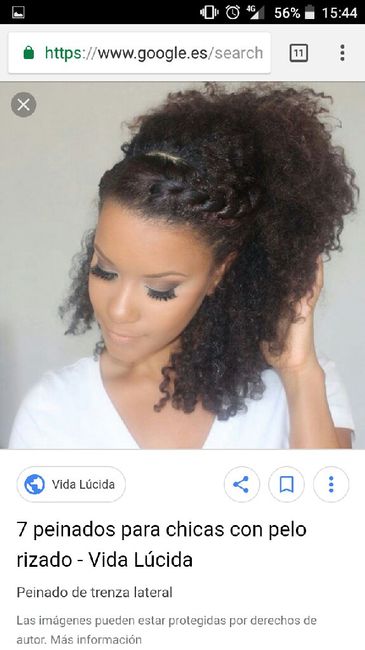 sos pelo de leona - 1