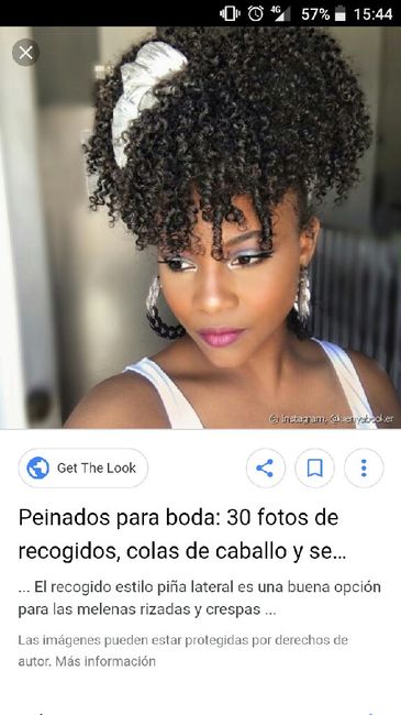 sos pelo de leona - 3
