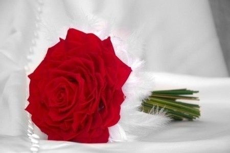 ROSMELIA