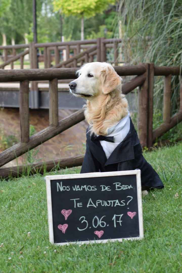 ZAR BODA
