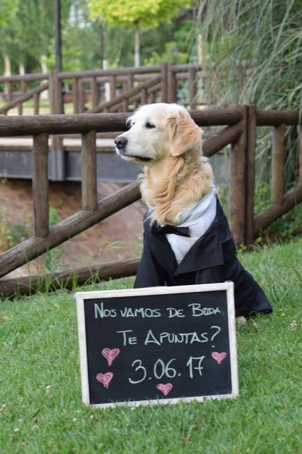 ZAR BODA