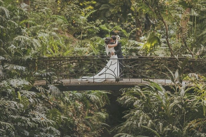 Boda civil - jardín botánico la concepción - 1