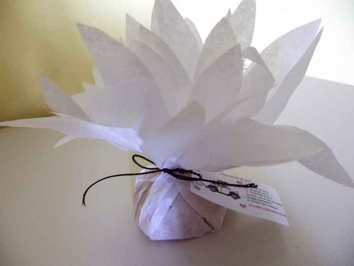 nenufar blanco