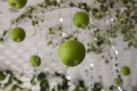 bodas manzanas