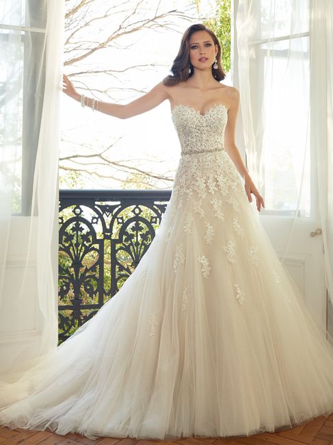 Sophia Tolli 2015