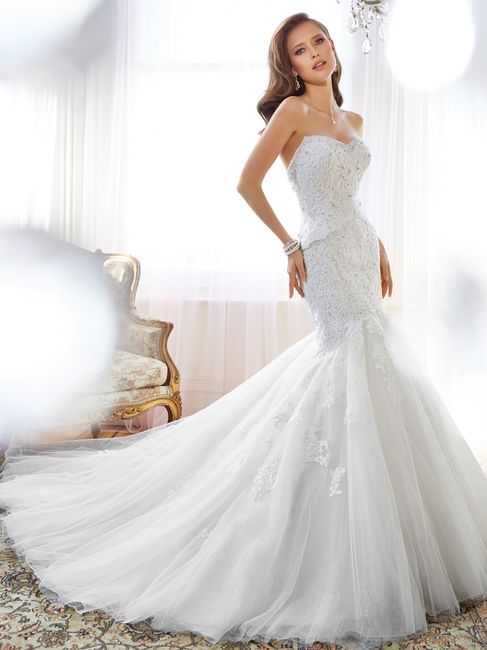 Sophia Tolli 2015