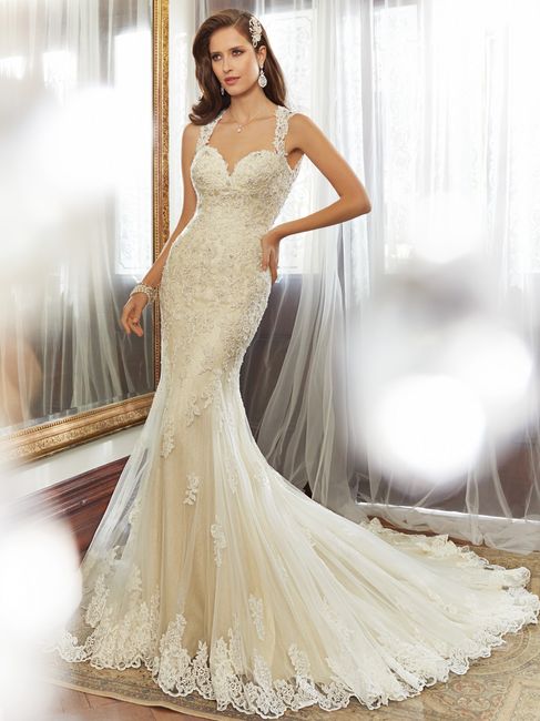 Sophia Tolli 2015