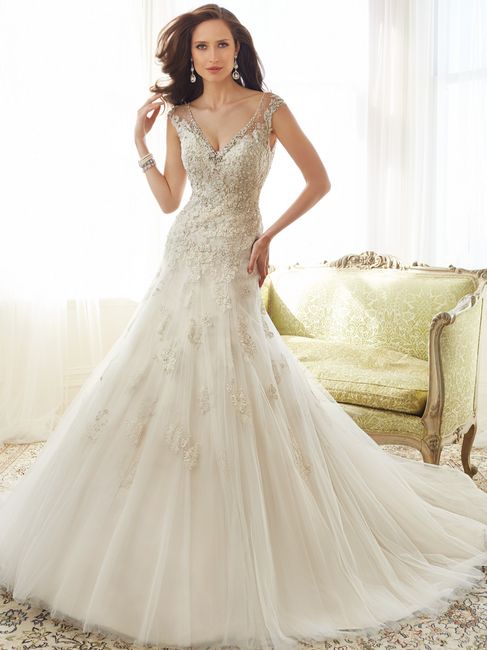 Sophia Tolli 2015