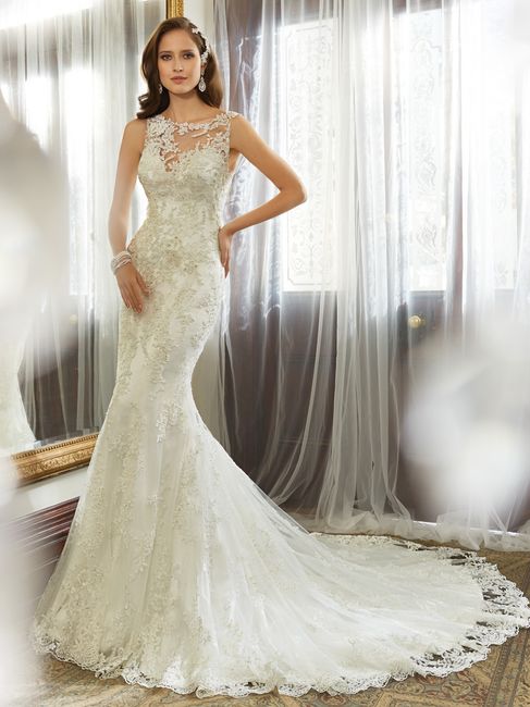 Sophia Tolli 2015