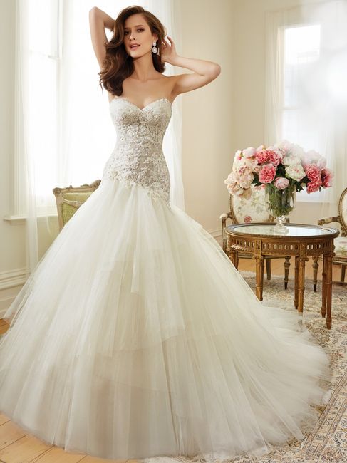 Sophia Tolli 2015