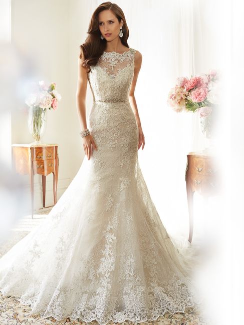 Sophia Tolli 2015