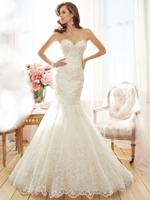 Sophia Tolli 2015