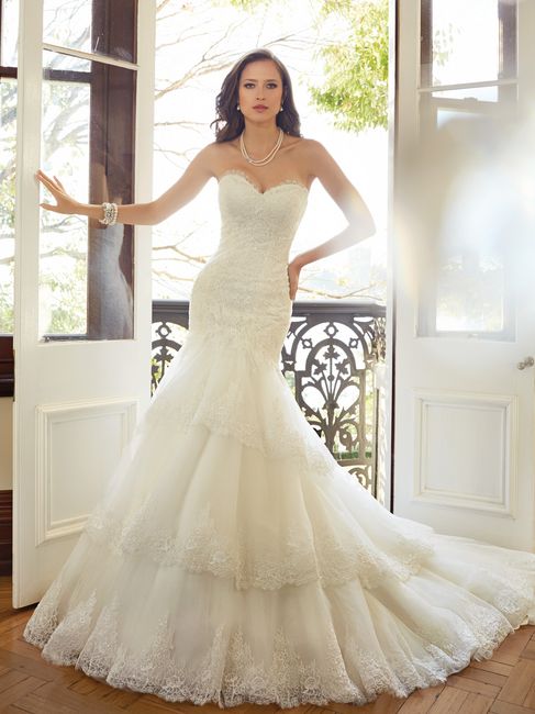 Sophia Tolli 2015