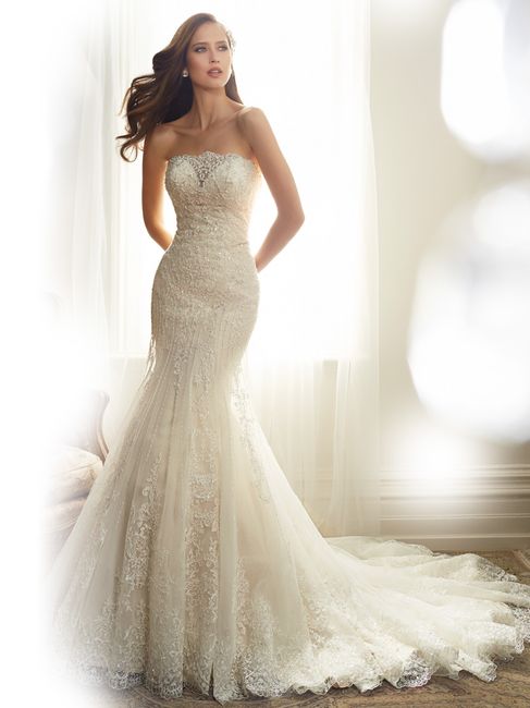 Sophia Tolli 2015