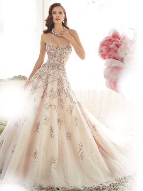 Sophia Tolli 2015