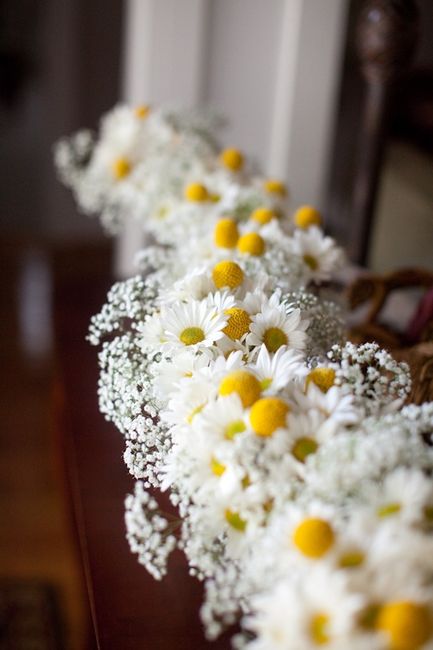 bodas margaritas