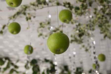 bodas manzanas