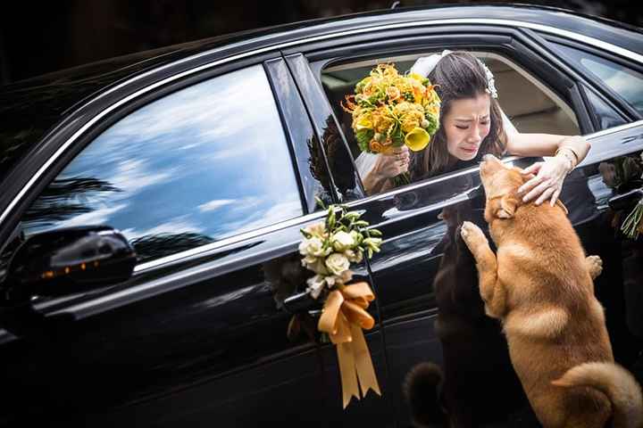 25 fotos de boda