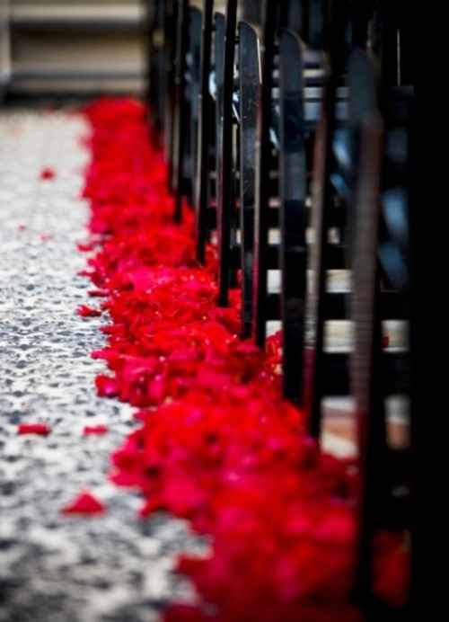 boda rosas rojas