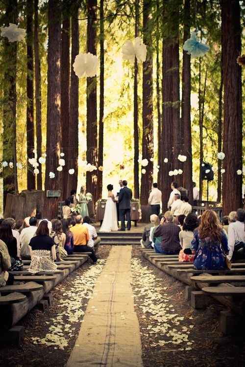 bodas en el bosque