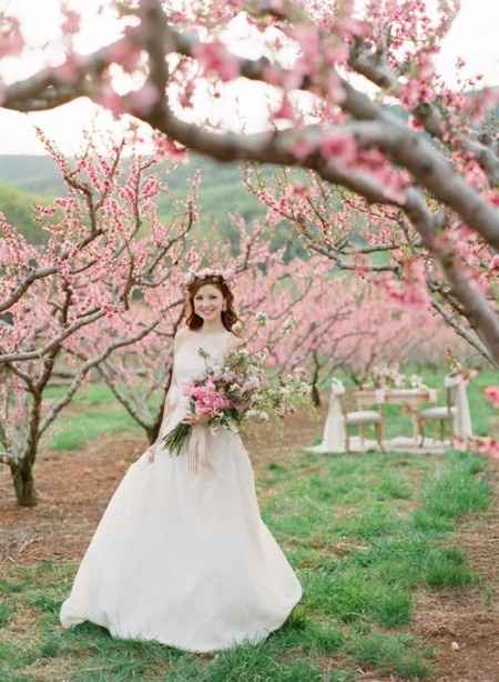foto boda flores