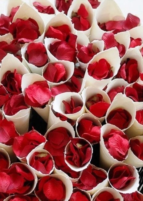 boda rosas rojas