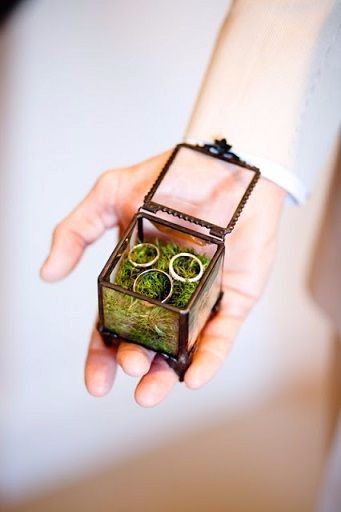 boda El sueño de una noche de verano